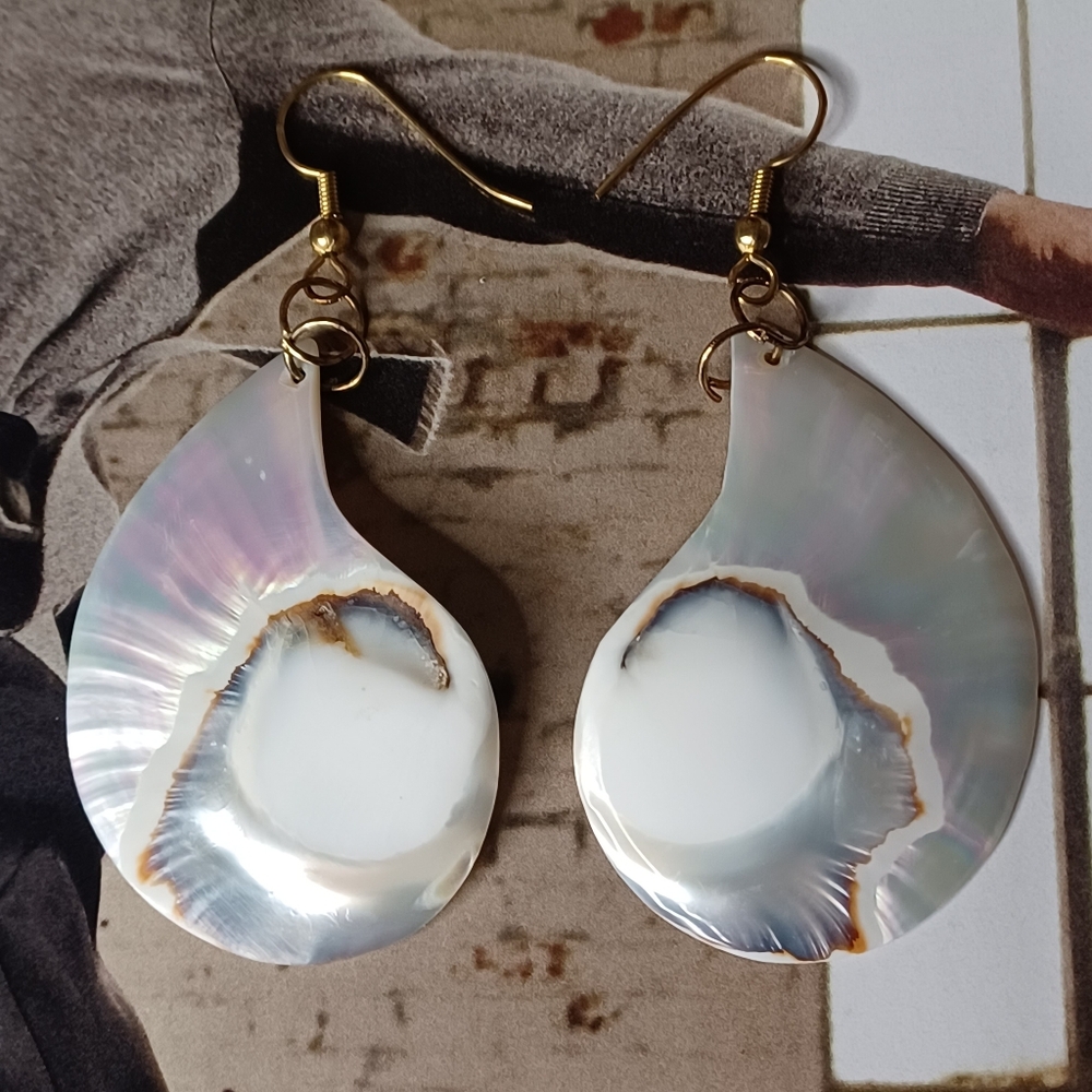 White Nautilus Mother of Pearl Dangle Seashell Earrings 🤍💫